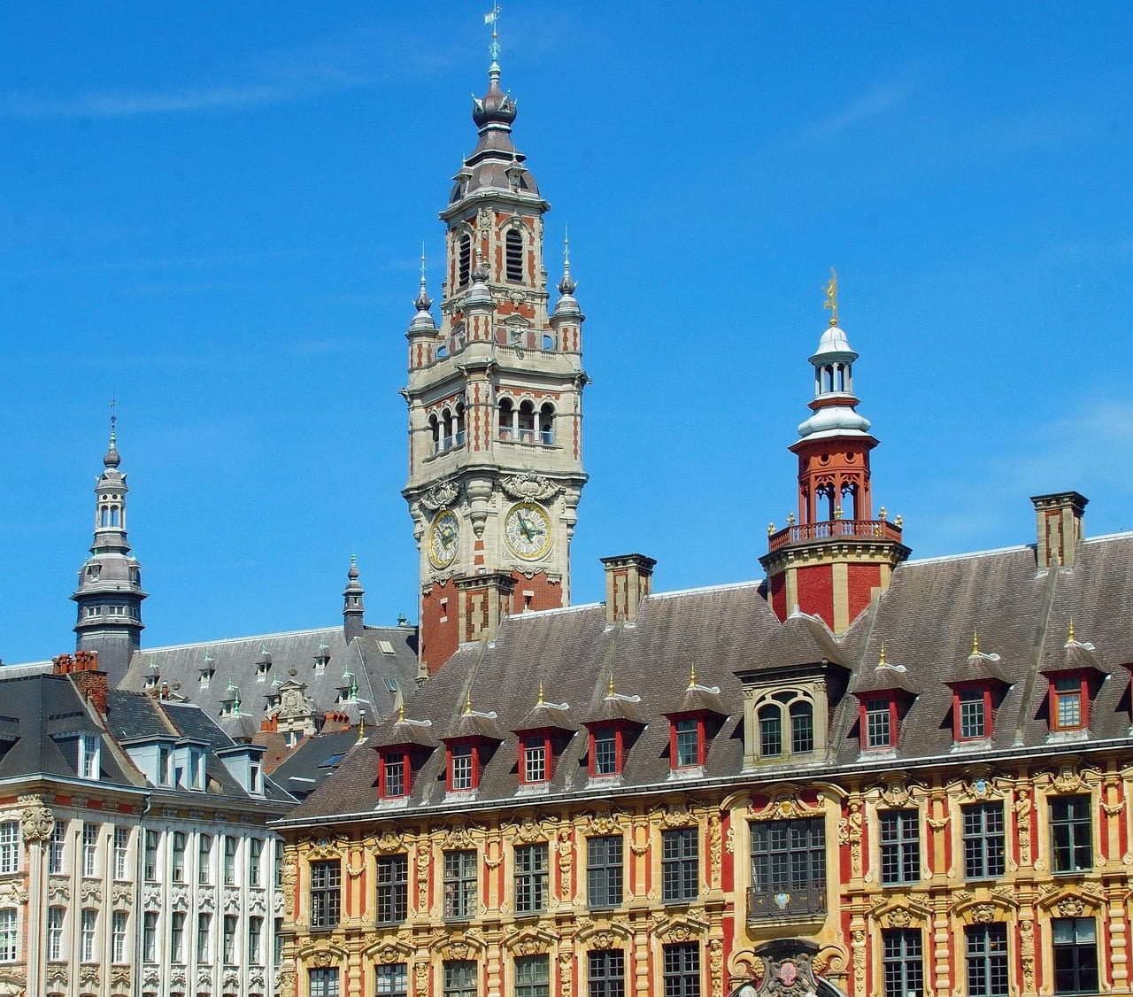 consultant seo lille